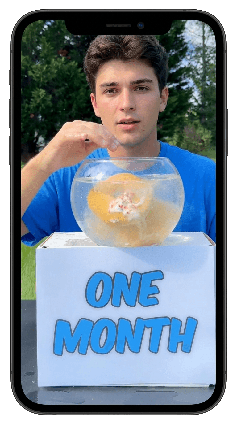 A one-month product demonstration video